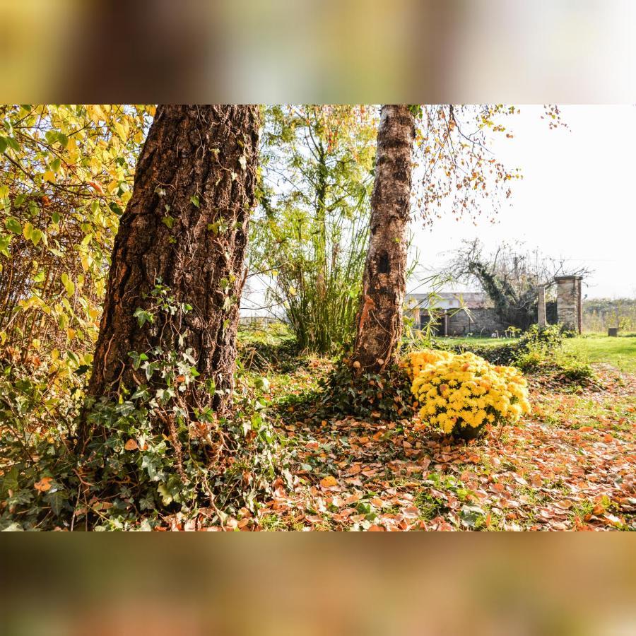 فيلا Agriturismo Magnarosa بارجي المظهر الخارجي الصورة